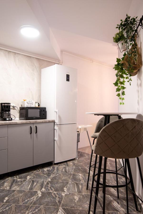 Snowdrop Apartment *