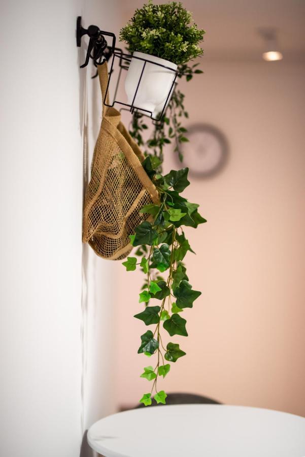 Apartment Snowdrop *